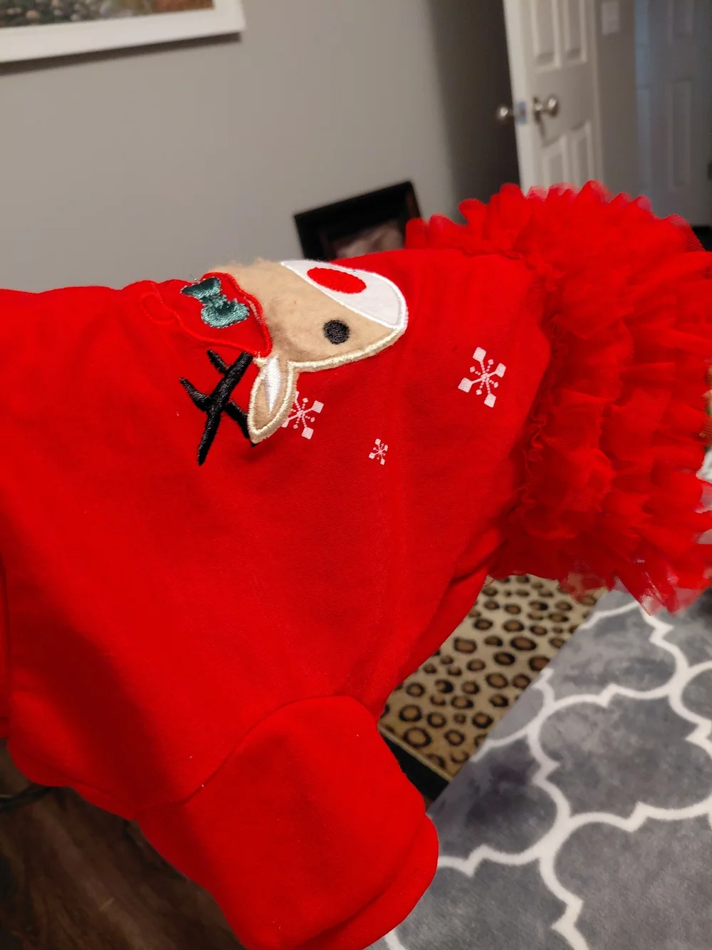 Red Reindeer Holiday Pet Dress